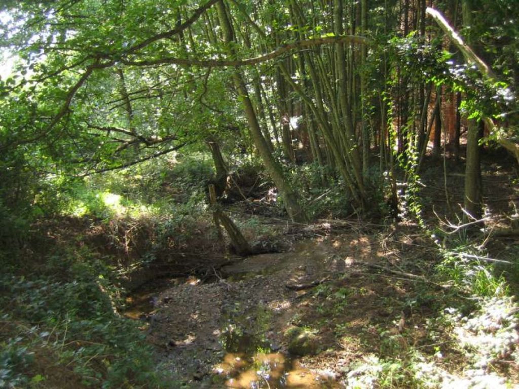 Réhabilitation du vallon du Toggenbach.