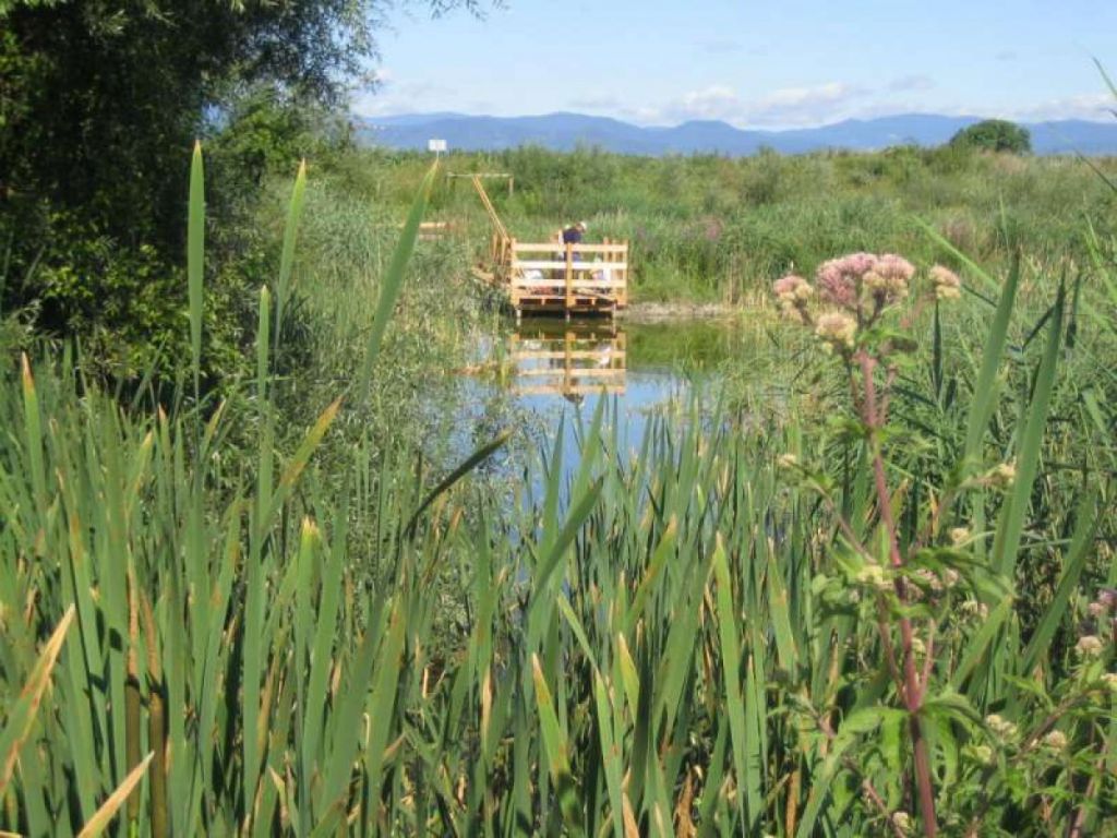 Aménagement  site pédagogique Alsace