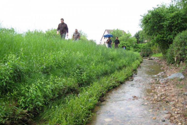 aménagement du sembach en alsace