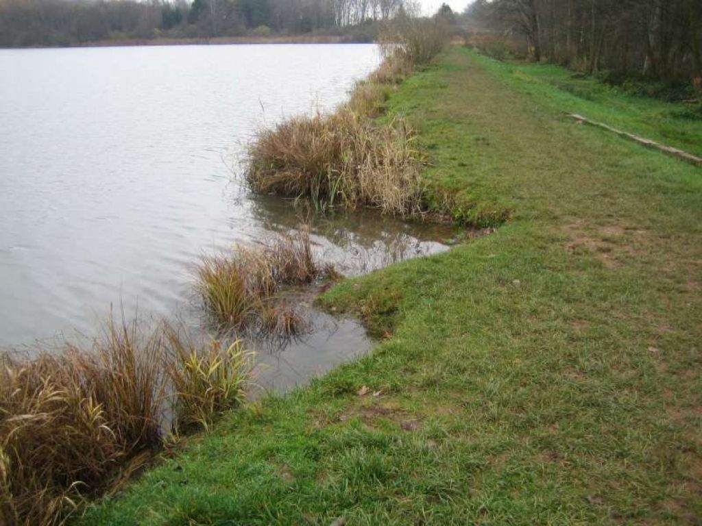 Confortement hydraulique aval et aménagement de la digue de l'étang de la Véronne.