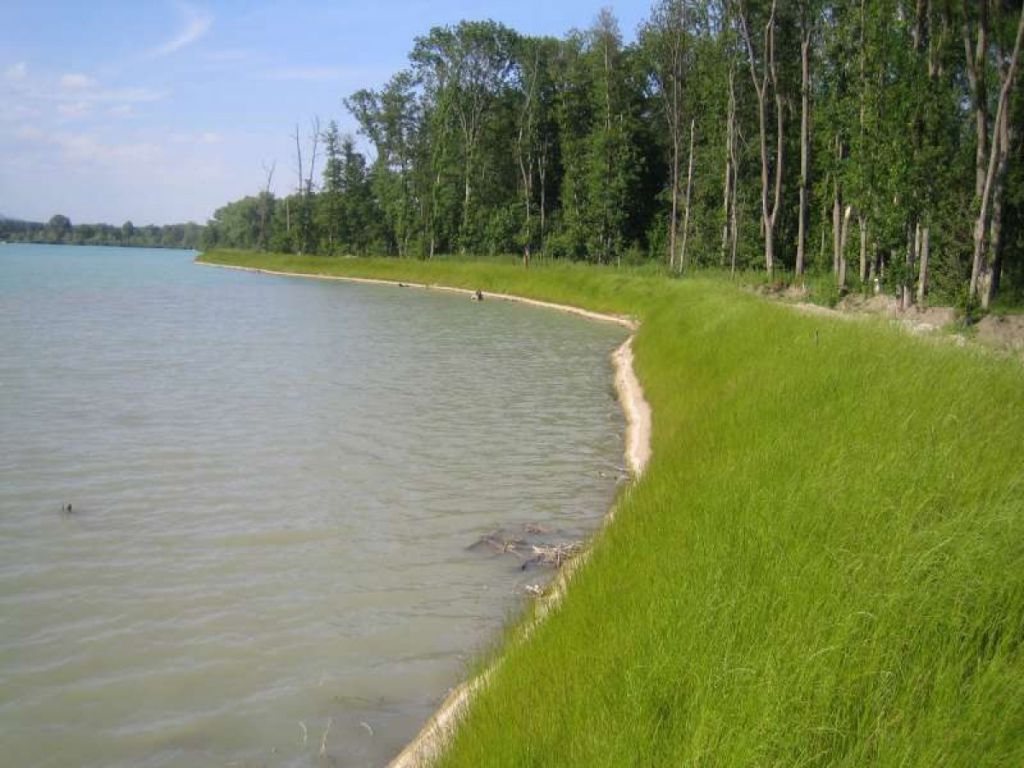 Réalisation de mesures compensatoires au titre de l'extension de la gravière des Sablières LEONHART