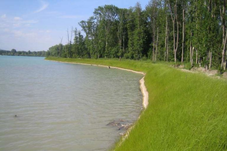 Réalisation de mesures compensatoires au titre de l'extension de la gravière des Sablières LEONHART