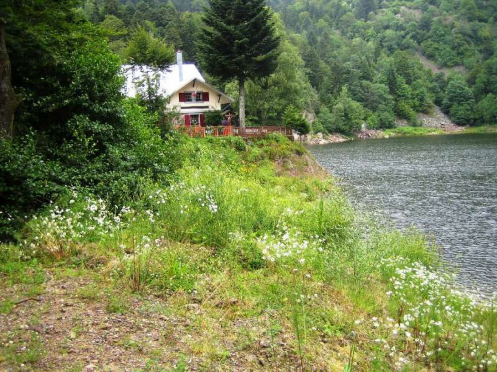 Réaménagement des berges du Lac du Neuweiher.