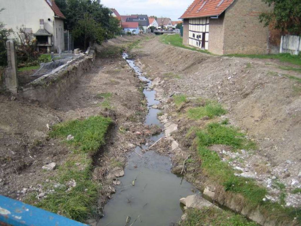 Réménagement d'un cours d'eau en Alsace
