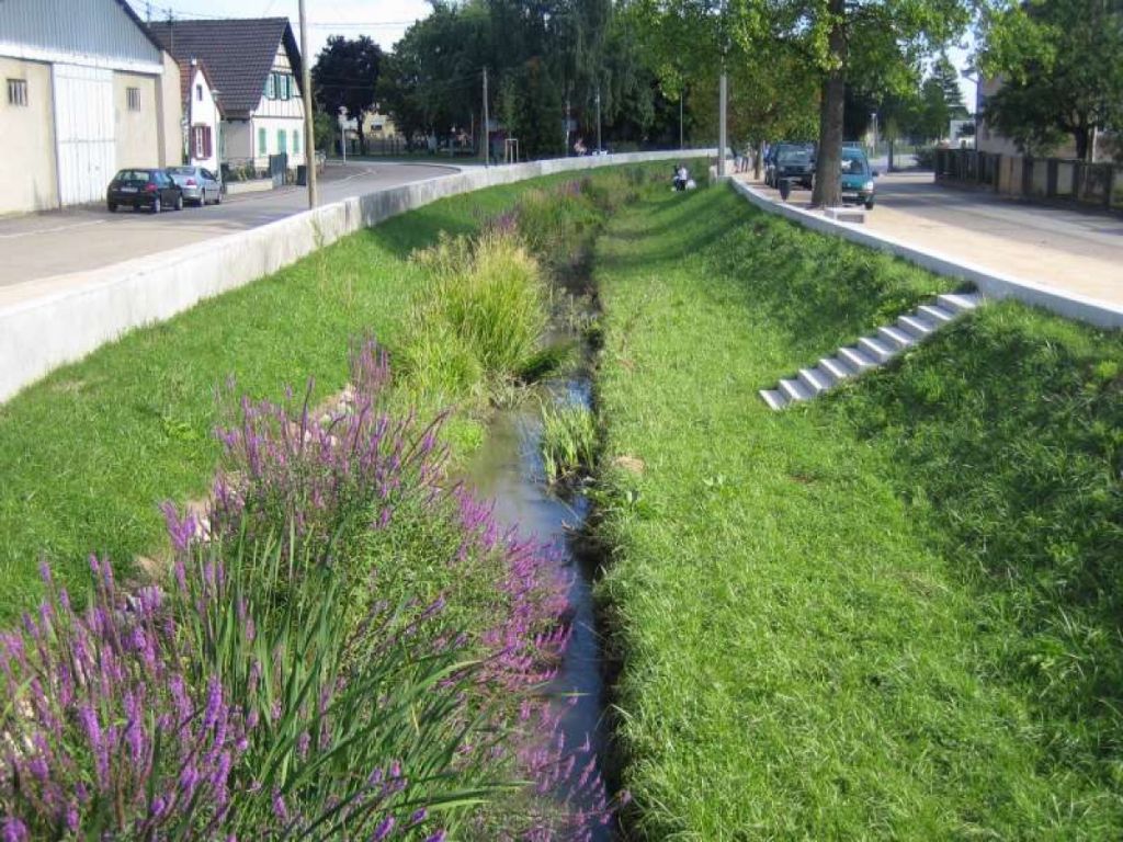 Réménagement d'un cours d'eau en Alsace