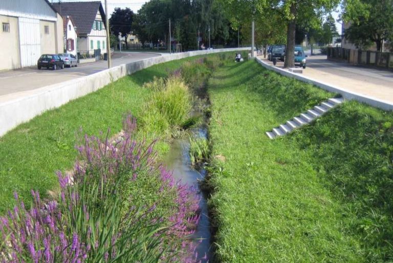 Réménagement d'un cours d'eau en Alsace