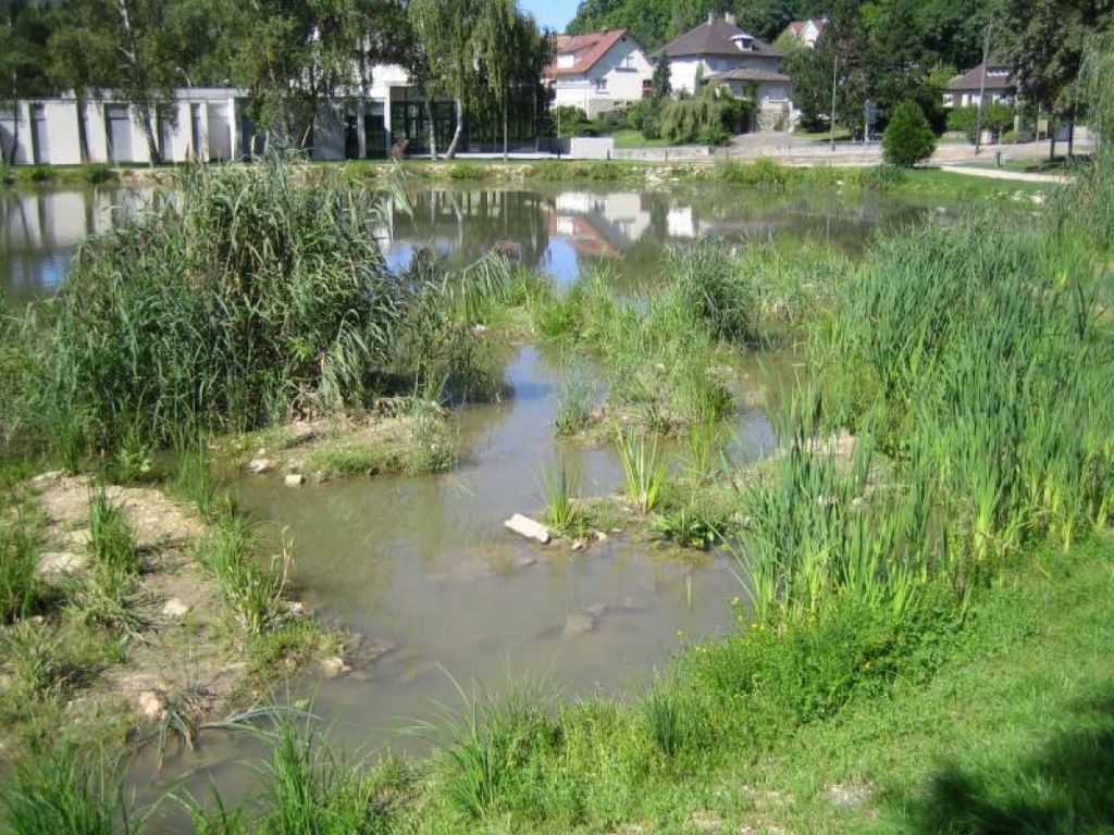 Renaturation de l'étang intercommunal de FERRETTE