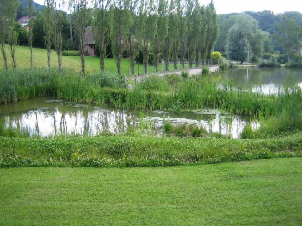 Renaturation de l'étang intercommunal de FERRETTE