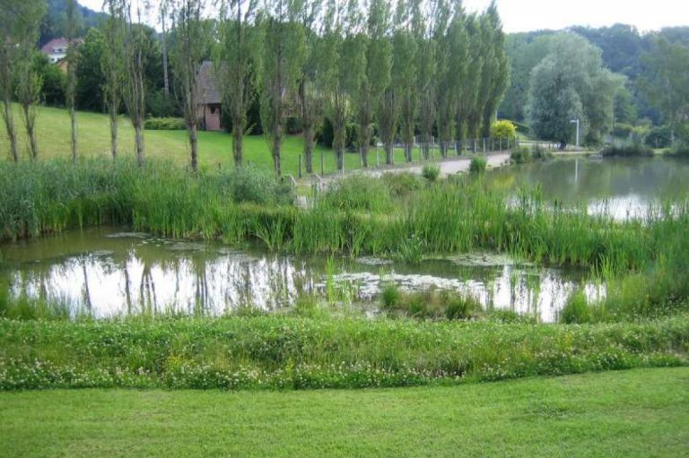 Renaturation de l'étang intercommunal de FERRETTE