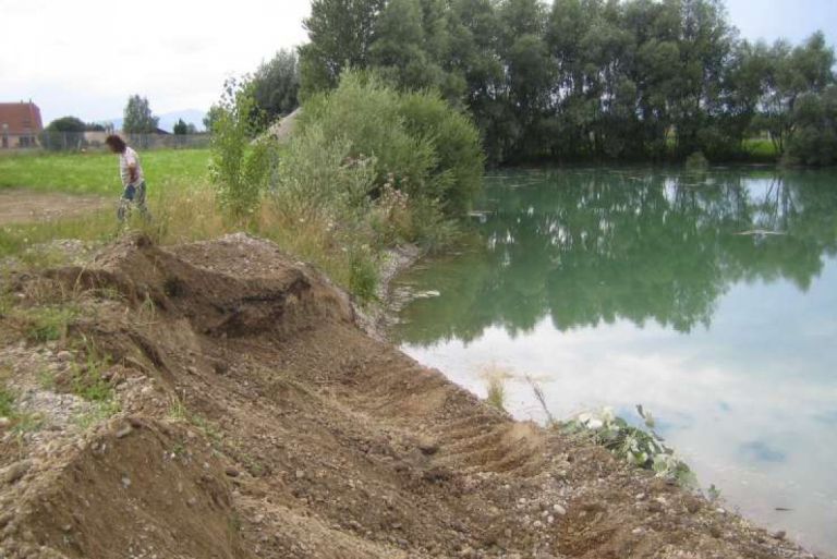 Renaturation de la gravière communale de Baldenheim