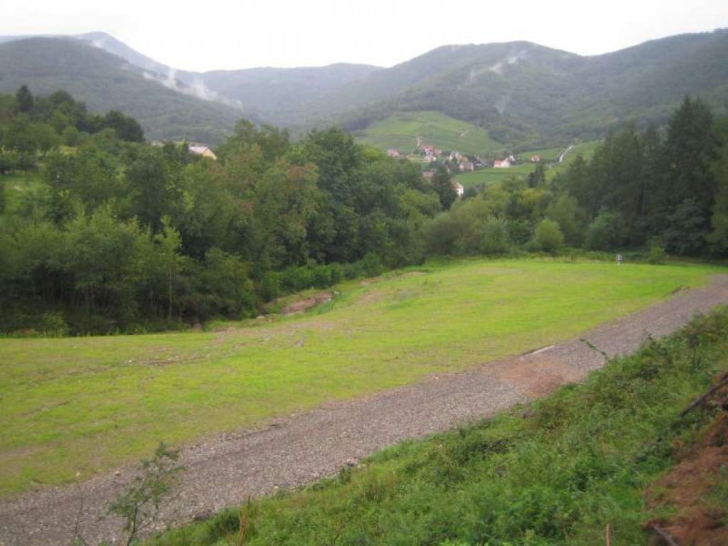 Renaturation réhabilitation d'un vallon en Alsace
