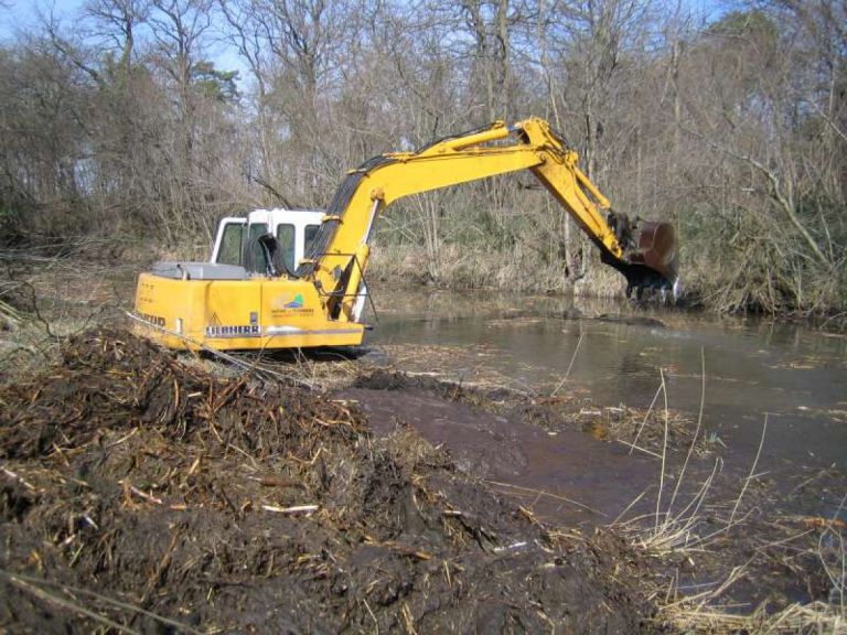 Revitalisation du Taubergiessen (ancien bras du Rhin).