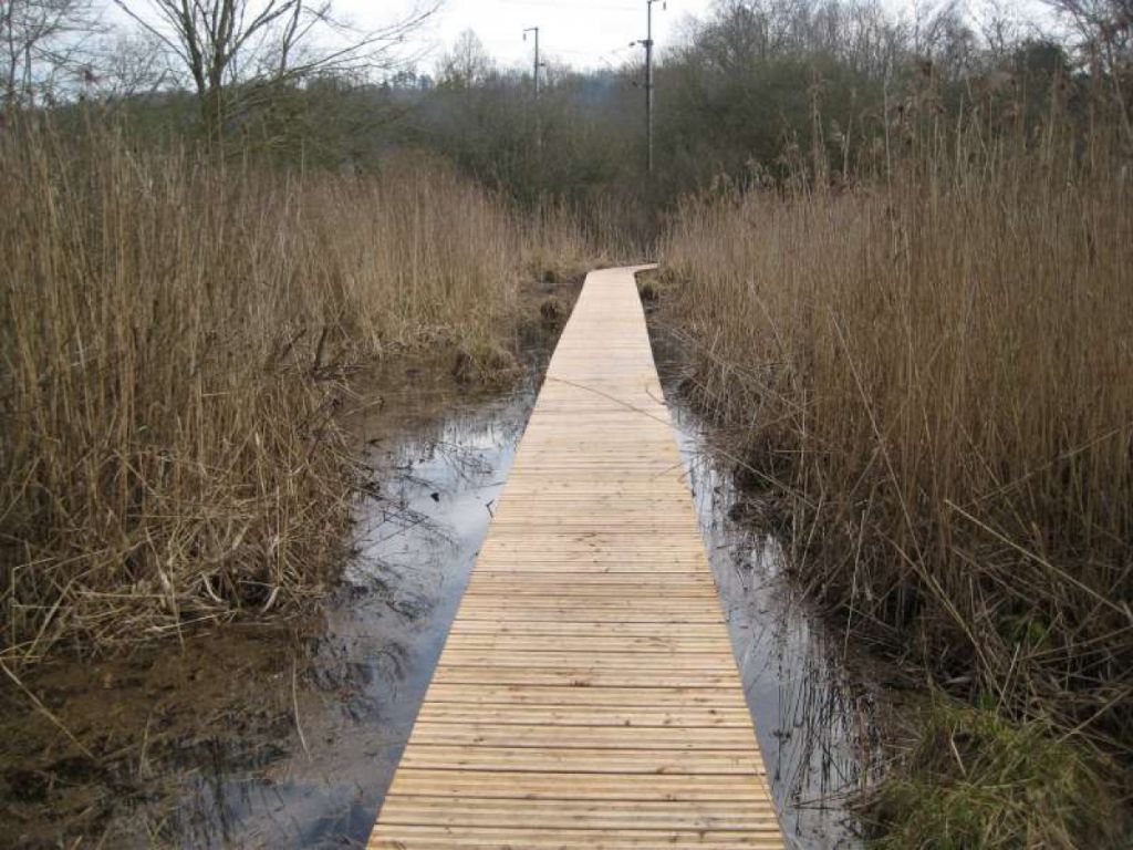 Réalisation d'un sentier pédagogique sur un marais à lay saint rémy