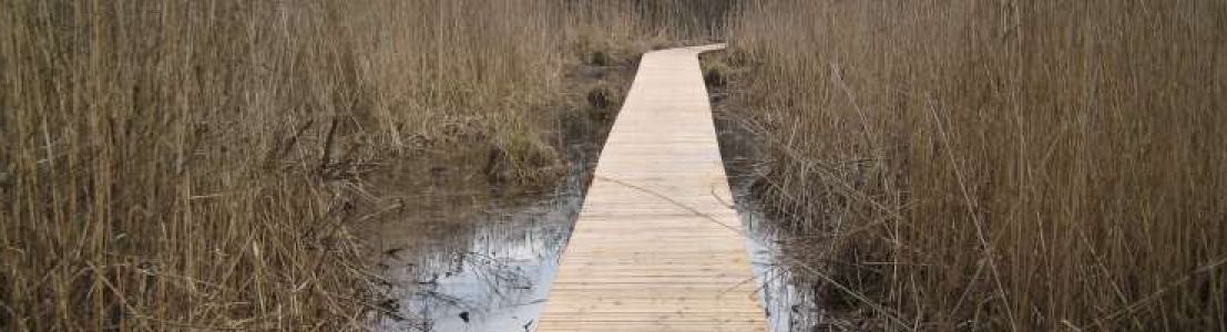 Réalisation d’un sentier pédagogique sur un marais