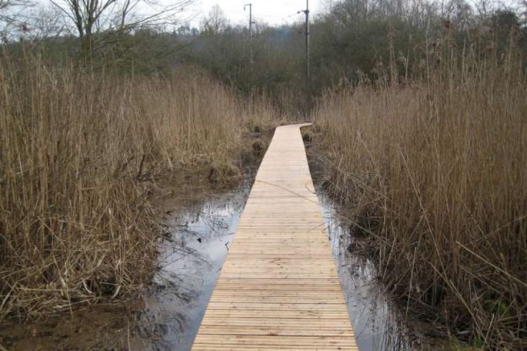 Réalisation d'un sentier pédagogique sur un marais à lay saint rémy